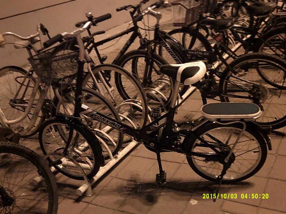 carcar.jpg