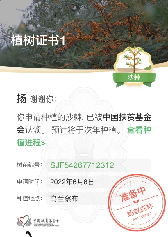 沙棘.jpg