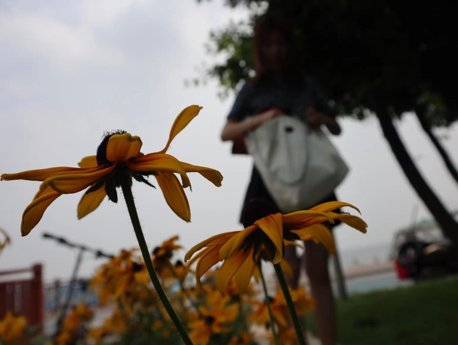 小丁同志.jpg