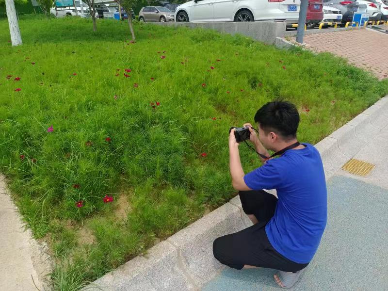 拍花花.jpg