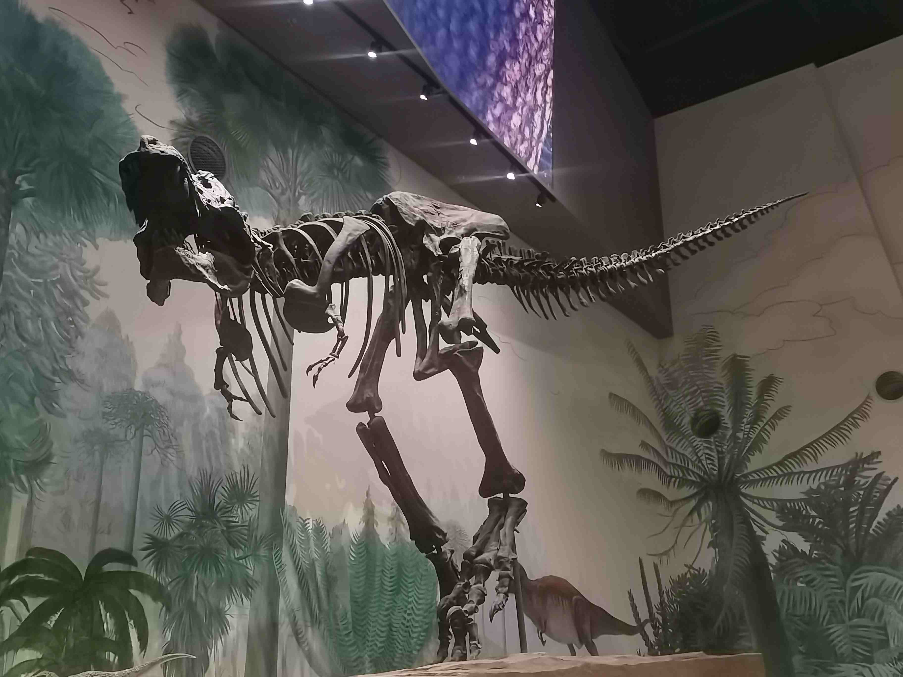 恐龙.jpg