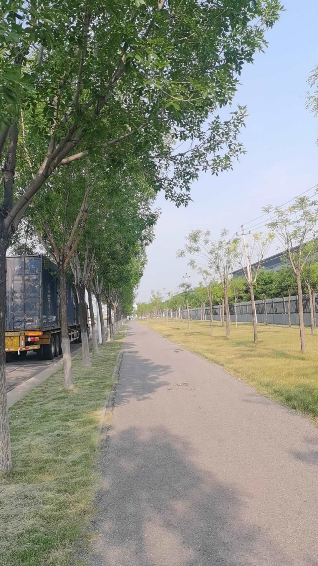 去公司的路.jpg