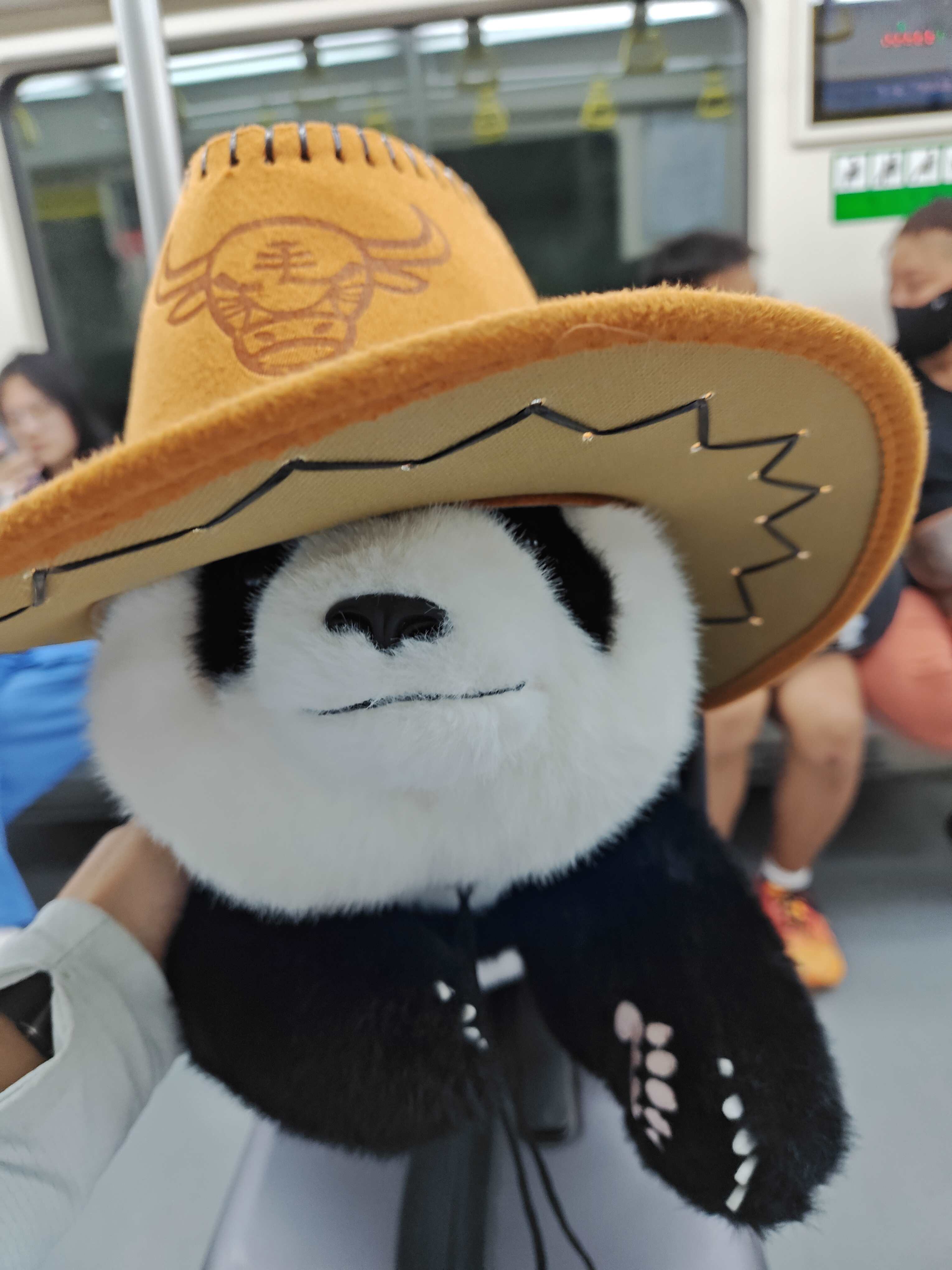 熊猫兄.jpg