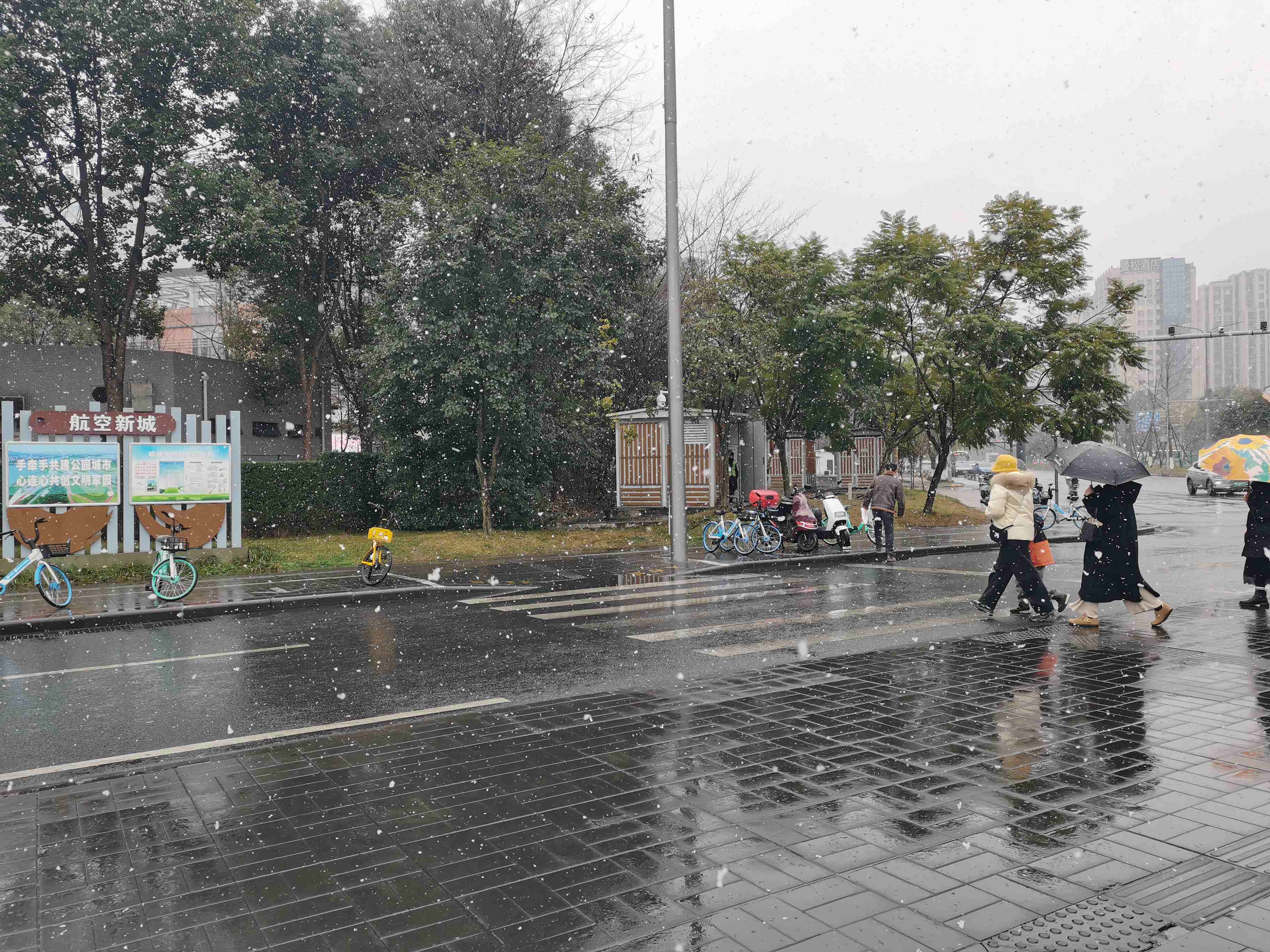 成都下雪.jpg