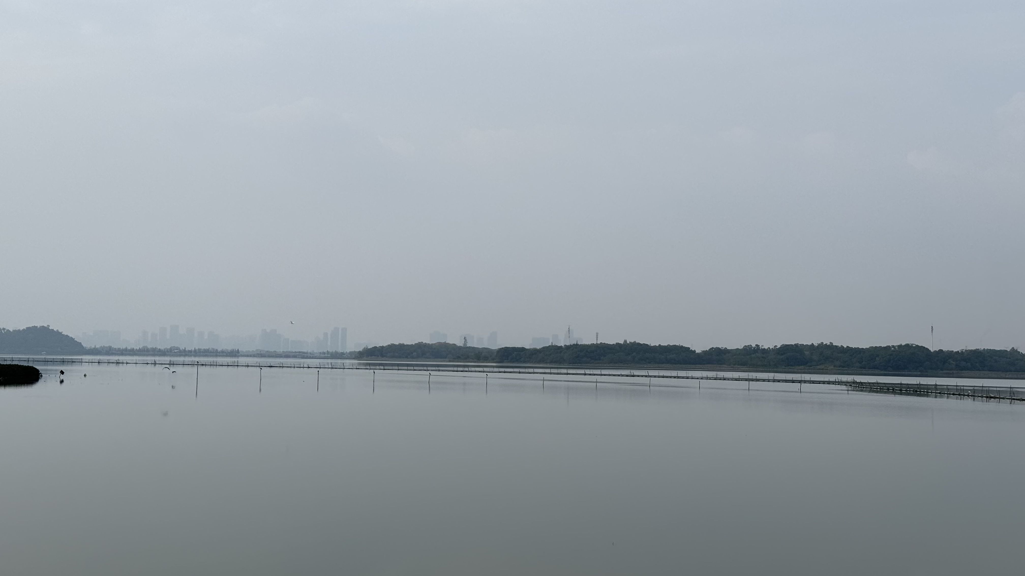 2025_10_26_16_10_11_IMG_5153.JPG 2025_10_26_16_10_11_IMG_5153.JPG